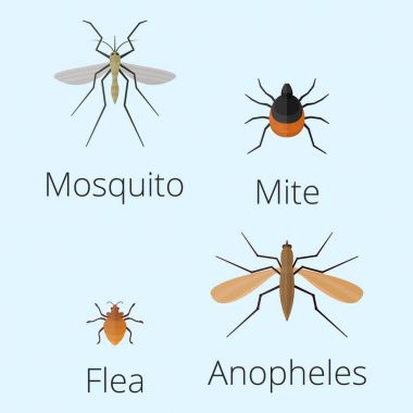 Renkli böcekler simgeler izole yaban hayatı kanat ayrıntı yaz solucan tırtıl böcek vahşi vektör çizim.