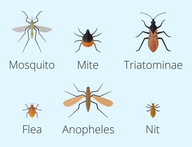 Renkli böcekler simgeler izole yaban hayatı kanat ayrıntı yaz solucan tırtıl böcek vahşi vektör çizim.