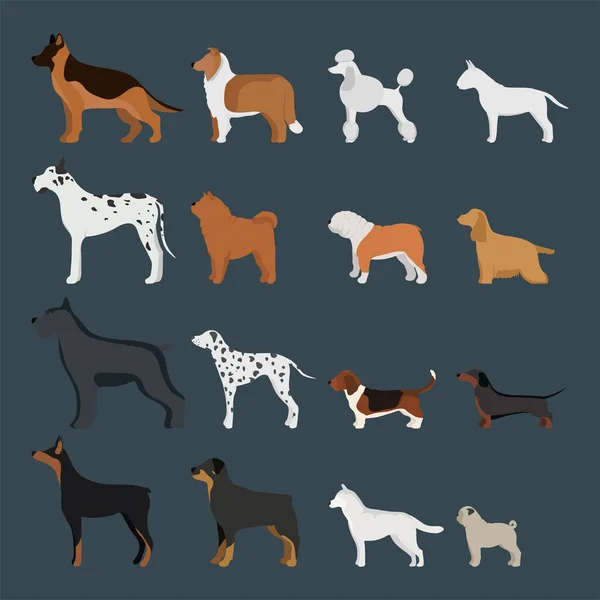 Divertido perro de dibujos animados carácter pan en ilustración vectorial estilo de dibujos animados . — Vector de stock