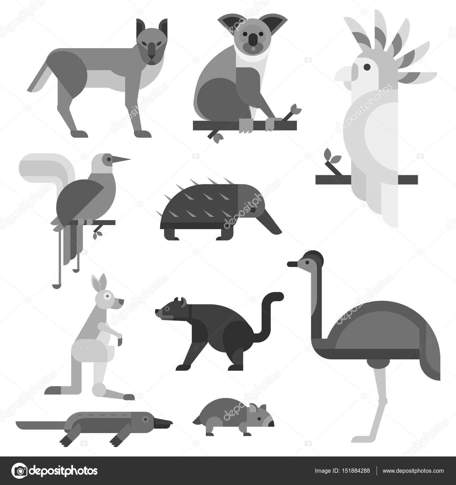 Australia Wild Animals Cartoon Popular Nature Characters Flat