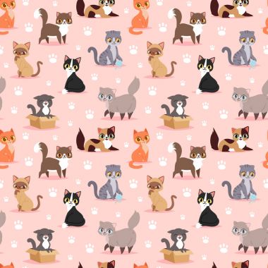 Kedi doğurmak şirin yavru kedi pet portre kabarık genç sevimli çizgi film hayvan vektör çizim seamless modeli