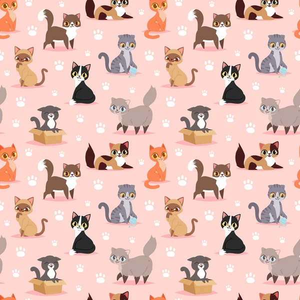 Katze züchten niedliche Kätzchen Haustier Porträt flauschig junge entzückende Cartoon Tier Vektor Illustration nahtlose Muster — Stockvektor