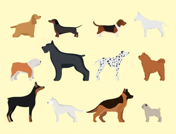 Divertido perro de dibujos animados carácter pan en ilustración vectorial estilo de dibujos animados . — Archivo Imágenes Vectoriales