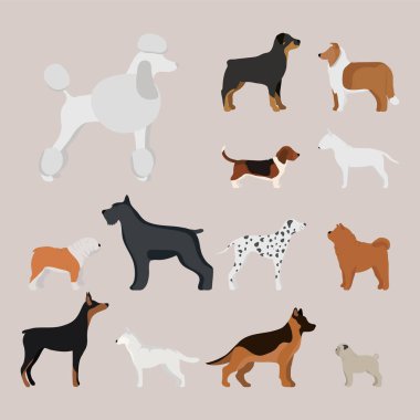 Komik karikatür köpek karakteri ekmek karikatür tarzı vektör çizim.