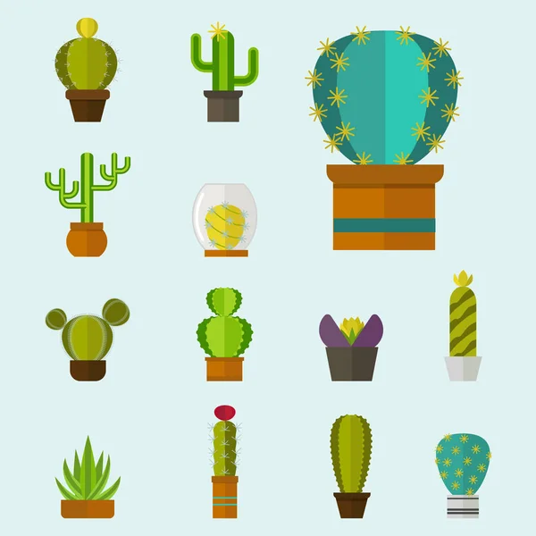 Cactus nature desert flower green mexican succulent tropical plant cacti floral vector illustration. - Stok Vektor