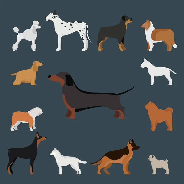 Pão de personagem de cão de desenho animado engraçado em desenho animado estilo ilustração vetorial . — Vetor de Stock