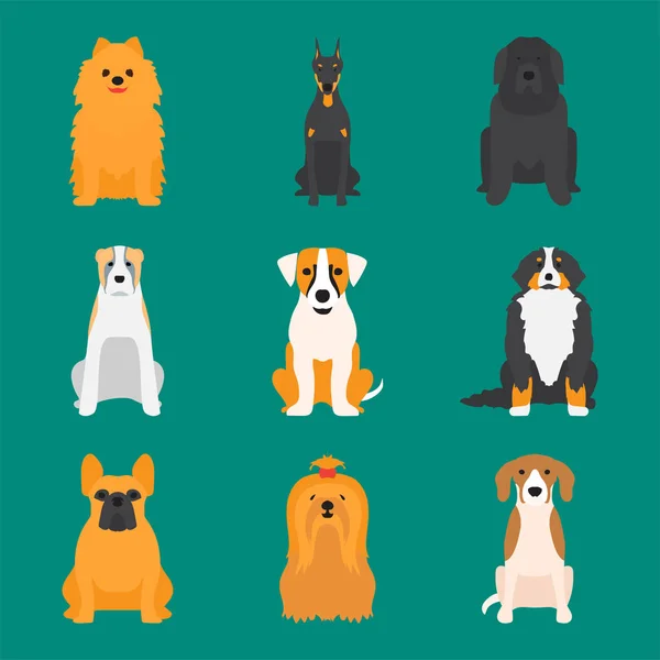 Divertido perro de dibujos animados personaje de pan de dibujos animados cachorro amable adorable vector canino ilustración . — Archivo Imágenes Vectoriales