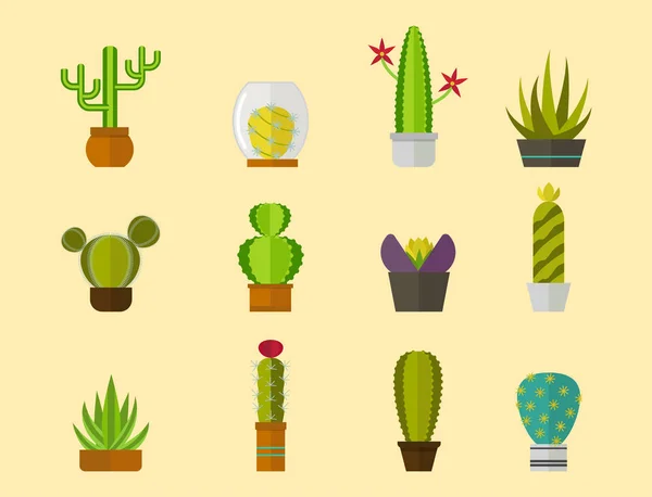 Cactus natur öknen blomma grön mexikanska saftiga tropisk växt kaktusar blommig vektor illustration. — Stock vektor