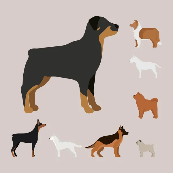 Divertido perro de dibujos animados carácter pan en ilustración vectorial estilo de dibujos animados . — Archivo Imágenes Vectoriales