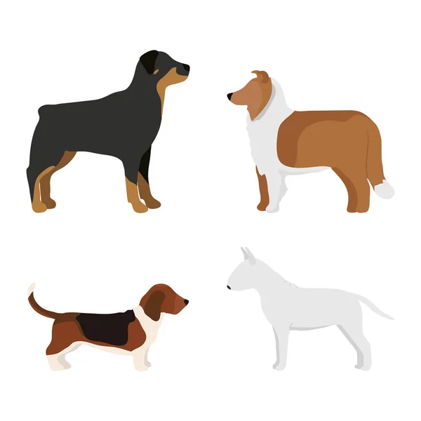 Divertido perro de dibujos animados carácter pan en ilustración vectorial estilo de dibujos animados . — Vector de stock