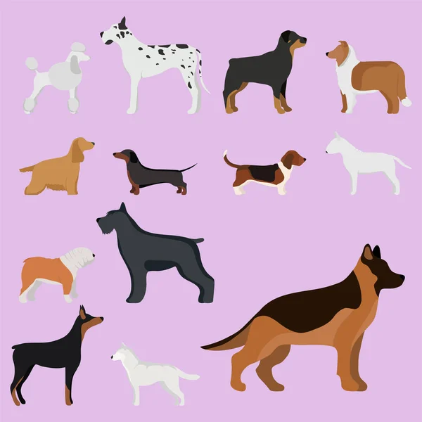 Divertido perro de dibujos animados carácter pan en ilustración vectorial estilo de dibujos animados . — Vector de stock