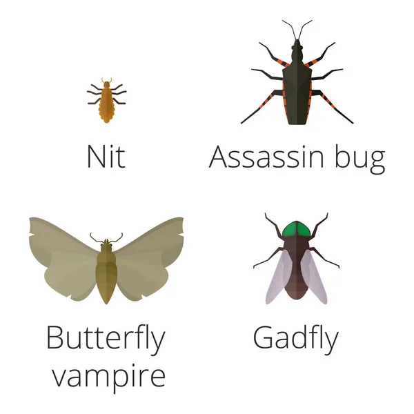 Красочные иконки насекомых изолированные крылья дикой природы подробно летний червь гусеницы жуки дикие векторные иллюстрации . — стоковый вектор