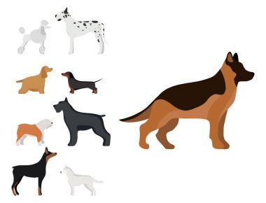 Komik karikatür köpek karakteri ekmek karikatür tarzı vektör çizim.