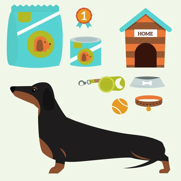 Pes jezevčík hraje vektorové ilustrace prvky sada plochý štěně domácí zvířata příslušenství. — Stockový vektor