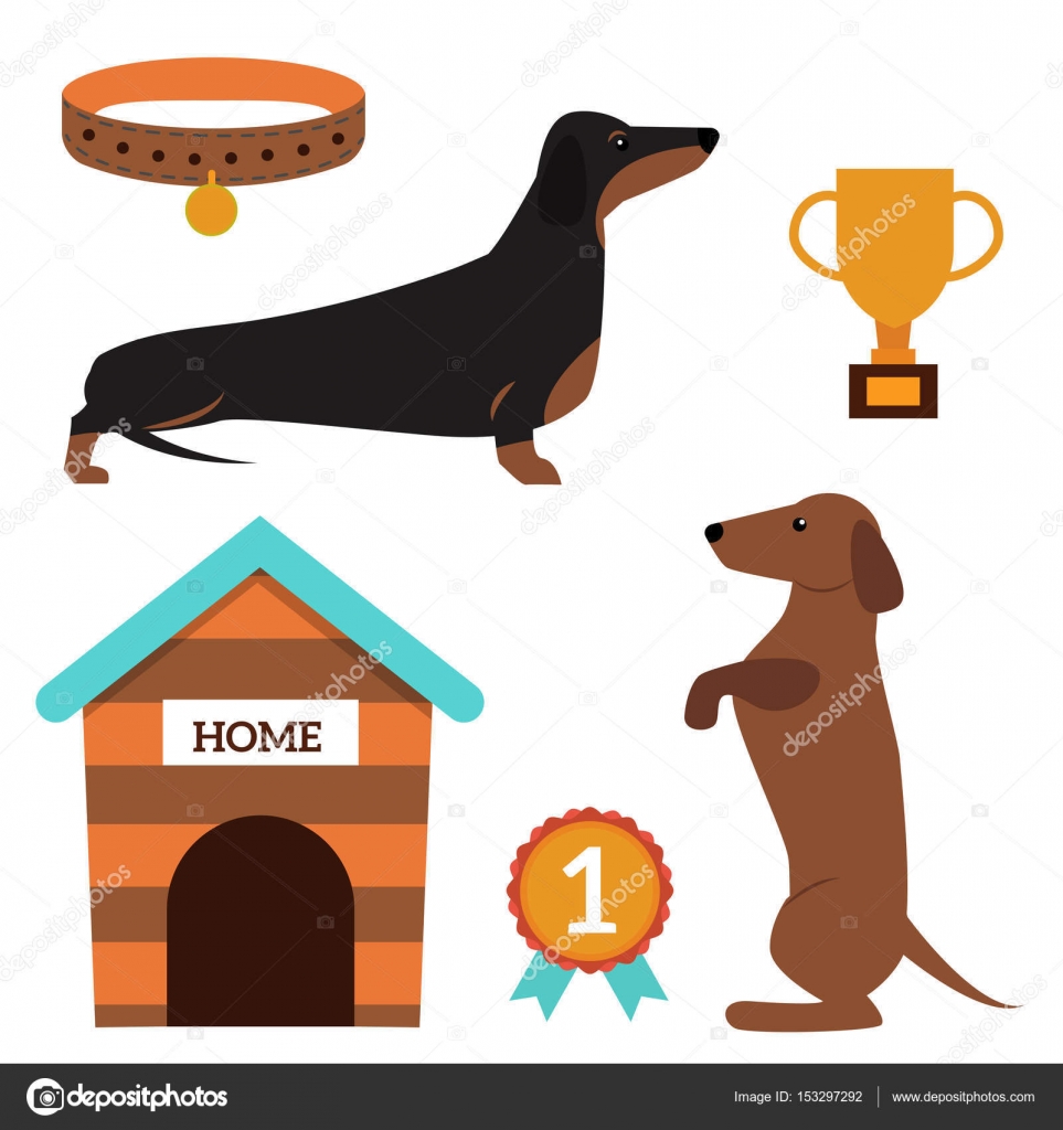 卡通黄金猎犬图库矢量图片、免版税卡通黄金猎犬插图|DepositPhotos