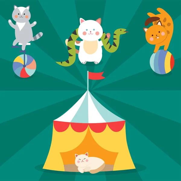 Circo gatti vettore allegra illustrazione per i bambini con piccoli animali domestici dei cartoni animati che giocano mammifero — Vettoriale Stock