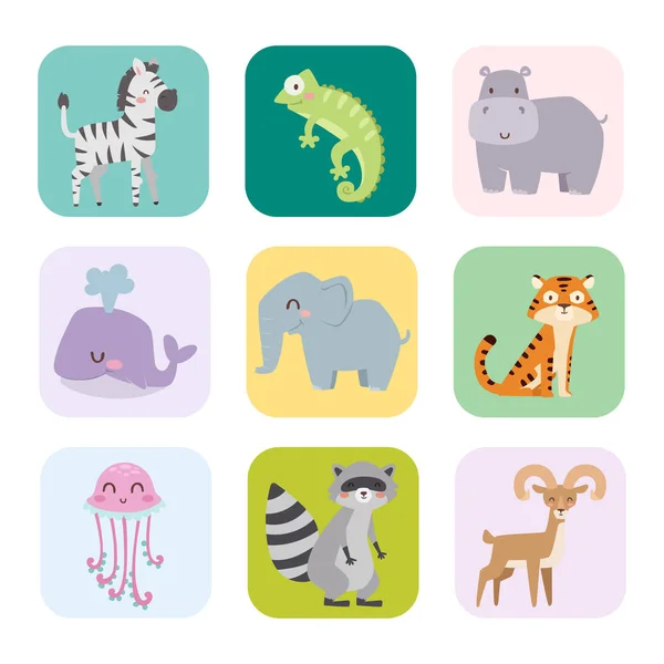 Zoo mignon animaux de dessin animé isolé drôle faune apprendre langage mignon et nature tropicale safari mammifère jungle personnages grands vecteur illustration . — Image vectorielle