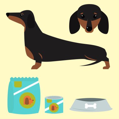 Vektör çizim öğeleri oynayan daksund köpek düz stil köpek yavrusu ev evde beslenen hayvan Aksesuar ayarla.