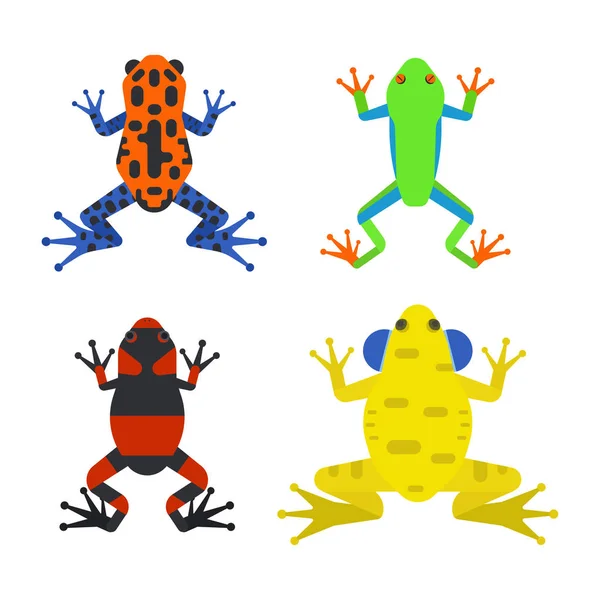 Grodan tecknad tropiska djur-tecknad serie amfibie maskot karaktär vilda vektorillustration. — Stock vektor