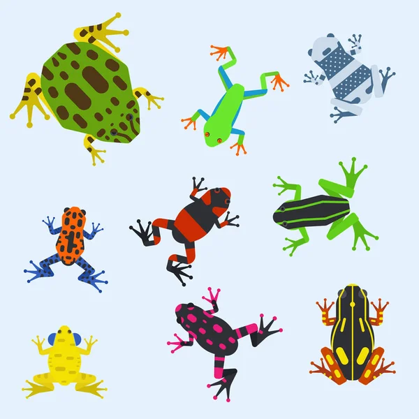 Kurbağa karikatür tropikal hayvan karikatür amfibi maskot karakter vahşi vektör çizim. — Stok Vektör