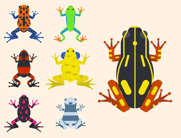 Grodan tecknad tropiska djur-tecknad serie amfibie maskot karaktär vilda vektorillustration. — Stock vektor
