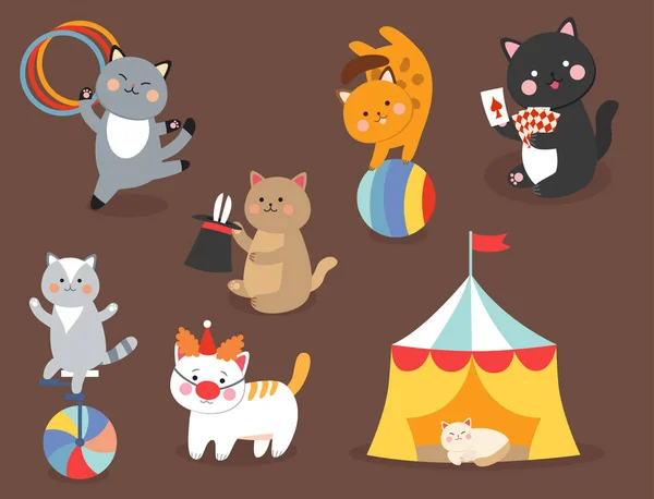 Цирковые кошки векторные веселые иллюстрации для детей с маленькими домашними мультяшными животными, играющих млекопитающих — стоковый вектор
