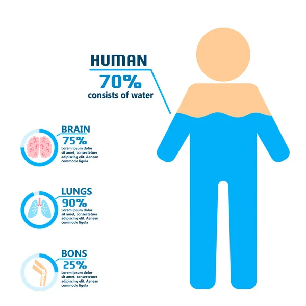 Σώμα νερού ποτό infographics υγεία άνθρωποι δίαιτα τρόπος ζωής έννοια φυλλάδιο infochart διανυσματικά εικονογράφηση — Διανυσματικό Αρχείο