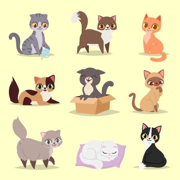Sevimli kediler kitty evde beslenen hayvan sevimli karakter farklı poz vektör. Anasayfa kedi farklı doğurmak — Stok Vektör
