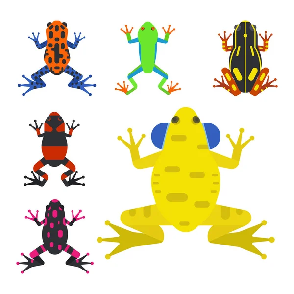 Grenouille dessin animé animal tropical dessin animé amphibien mascotte personnage sauvage vecteur illustration . — Image vectorielle