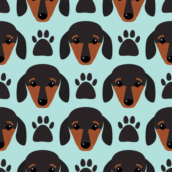 Little dachshund cabeza de cachorro patrón sin costuras perro joven pedigreed animal raza vector ilustración — Vector de stock