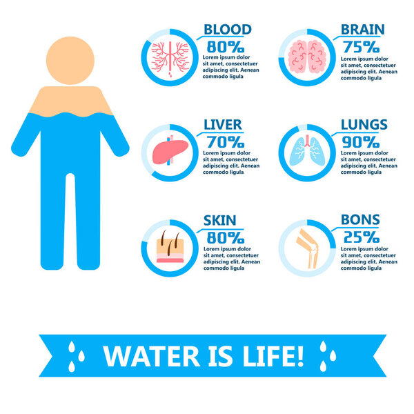 Body water drink infographics health people diet lifestyle concept brochure infochart vector illustration