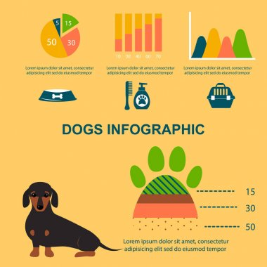 Infographic vektör öğeleri oynayan daksund köpek düz stil sembolleri köpek evcil hayvan illüstrasyon ayarla