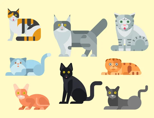 Katzen Vektor Illustration niedlich Tier lustig dekorativ Kitty Charaktere Katzen häusliche Kätzchen trendige Haustier gezeichnet — Stockvektor