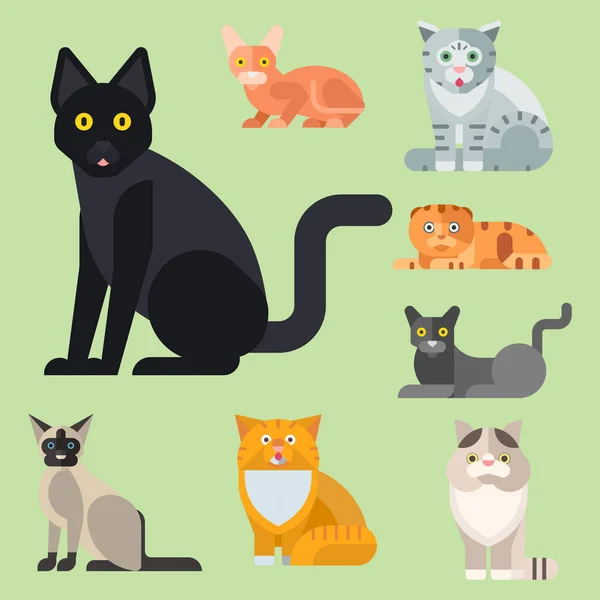 Gatos vector ilustración lindo animal divertido decorativo gatito caracteres felino doméstico gatito de moda dibujado mascota — Vector de stock