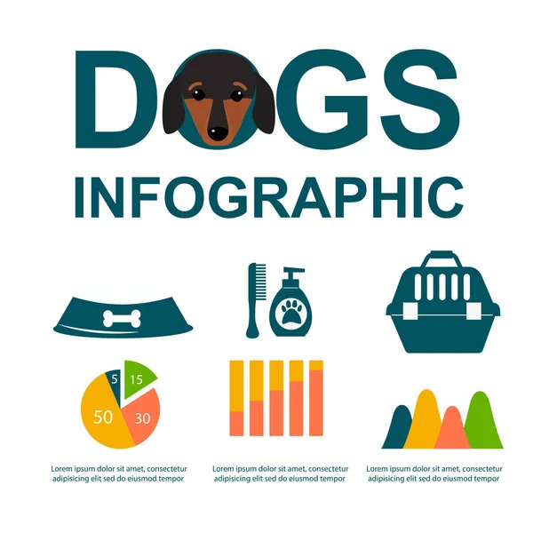 Pes jezevčík herními prvky vektorový infographic sada plochý symboly štěně domácí zvíře ilustrace — Stockový vektor