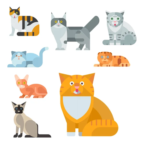 Katter vektor illustration söta djur roliga dekorativa kitty tecken felint inhemska kattunge trendiga husdjur dras — Stock vektor