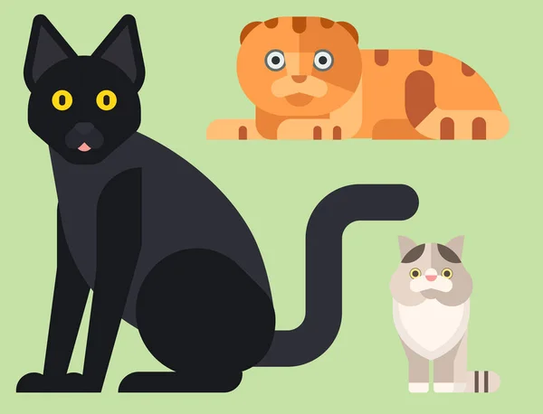 Γάτες διανυσματικά εικονογράφηση χαριτωμένο ζώο αστεία διακοσμητικά γατάκι χαρακτήρες αιλουροειδών εγχώρια γατάκι μοντέρνο κατοικίδιο που προέρχονται — Διανυσματικό Αρχείο