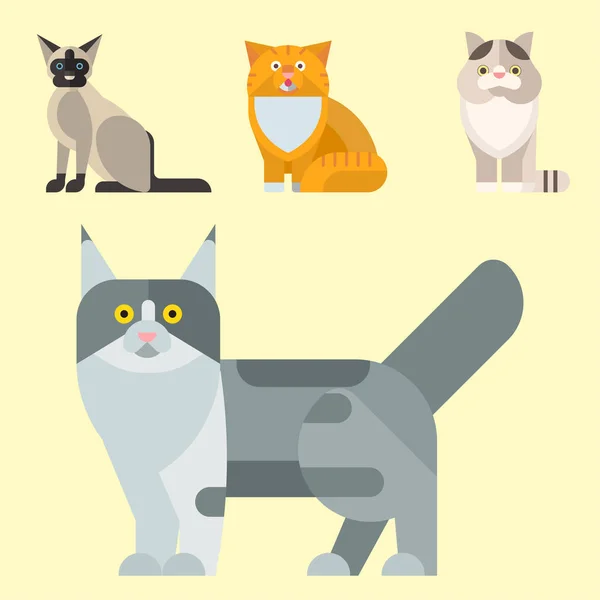 Gatos vetor ilustração bonito animal engraçado decorativo gatinho personagens felino doméstico gatinho moderno animal de estimação desenhado —  Vetores de Stock