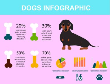 Infographic vektör öğeleri oynayan daksund köpek düz stil sembolleri köpek evcil hayvan illüstrasyon ayarla