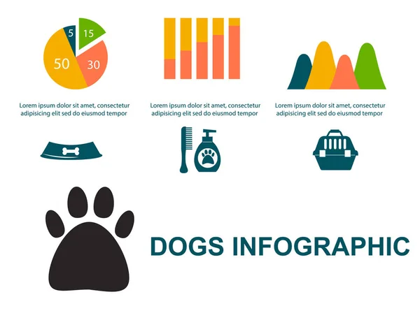 Dachshund dog playing infographic vector elements set flat style symbols puppy domestic animal illustration — Stock Vector