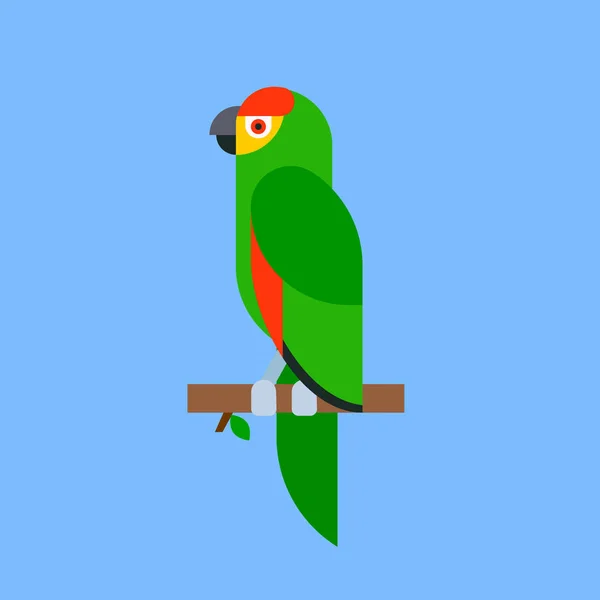 Parrot green bird breed species animal nature tropical parakeets education colorful pet vector illustration