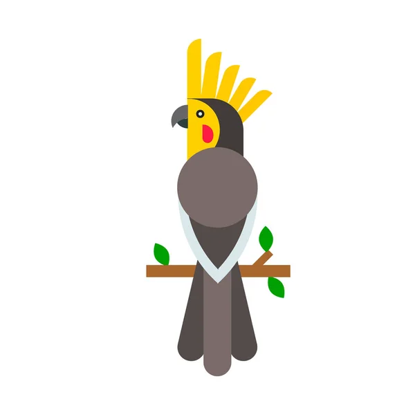 Papuga ptak rasy gatunków Natura Tropikalne papugi edukacja ilustracja kolorowy wektor zwierzę — Wektor stockowy