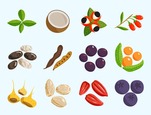 素食健康的蔬菜和水果餐厅菜式卡通浆果矢量. — 图库矢量图片