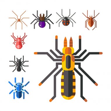 Örümcek web siluet Araknid korku grafik düz korkunç hayvan tasarım doğa böcek tehlike korku Cadılar Bayramı vektör simgesi.