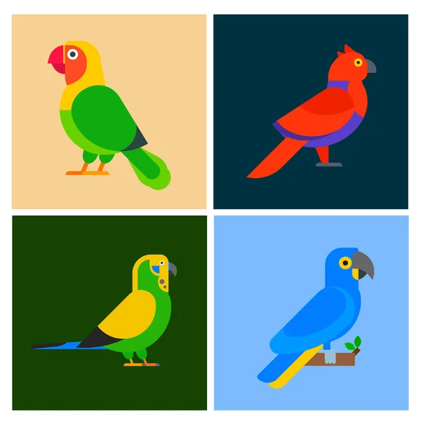 Papugi, ptaki rasy gatunków zwierząt flayer Broszura Natura Tropikalne papugi edukacja ilustracja kolorowy wektor zwierzę — Wektor stockowy
