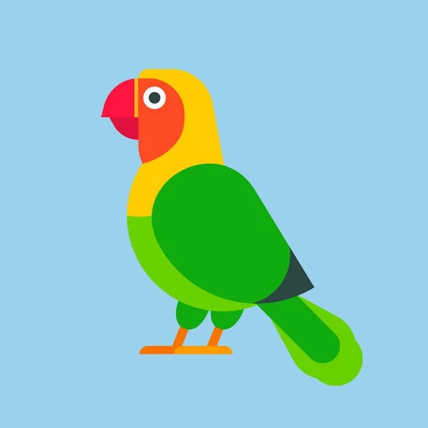 Papagáj zöld madár fajta faj állati természet trópusi törpepapagájok oktatás színes kisállat vektoros illusztráció — Stock Vector