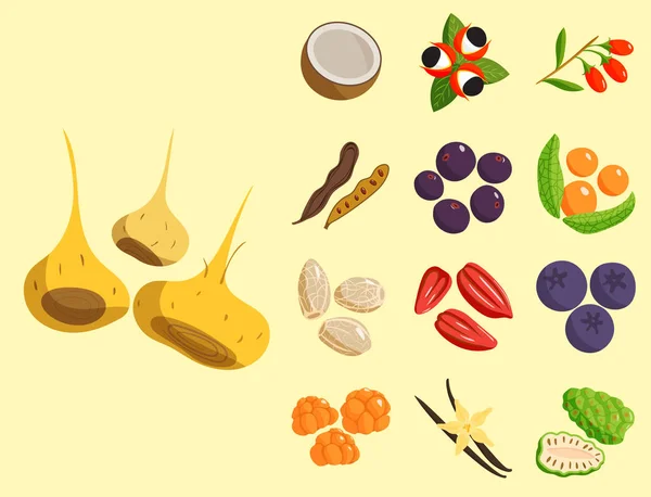 Vegetariana comida saludable verduras y frutas restaurante platos caricatura bayas vector . — Vector de stock
