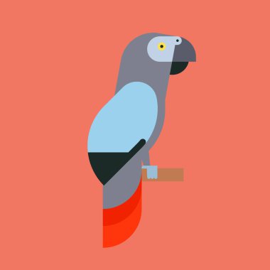 Papağan kuş doğurmak tür hayvan doğa tropikal parakeets eğitim renkli evde beslenen hayvan vektör çizim