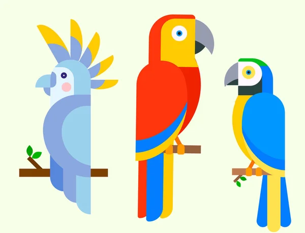 Perroquets oiseaux race espèces animaux nature tropicale perruches éducation coloré animal vecteur illustration — Image vectorielle