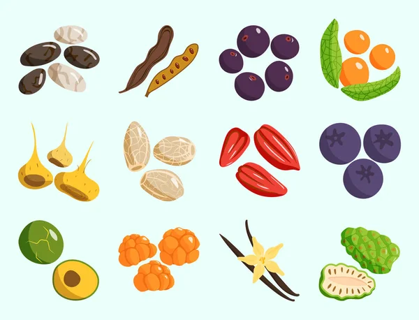 Vegetarische maaltijden gezonde groente en fruit restaurant gerechten cartoon berry vector. — Stockvector